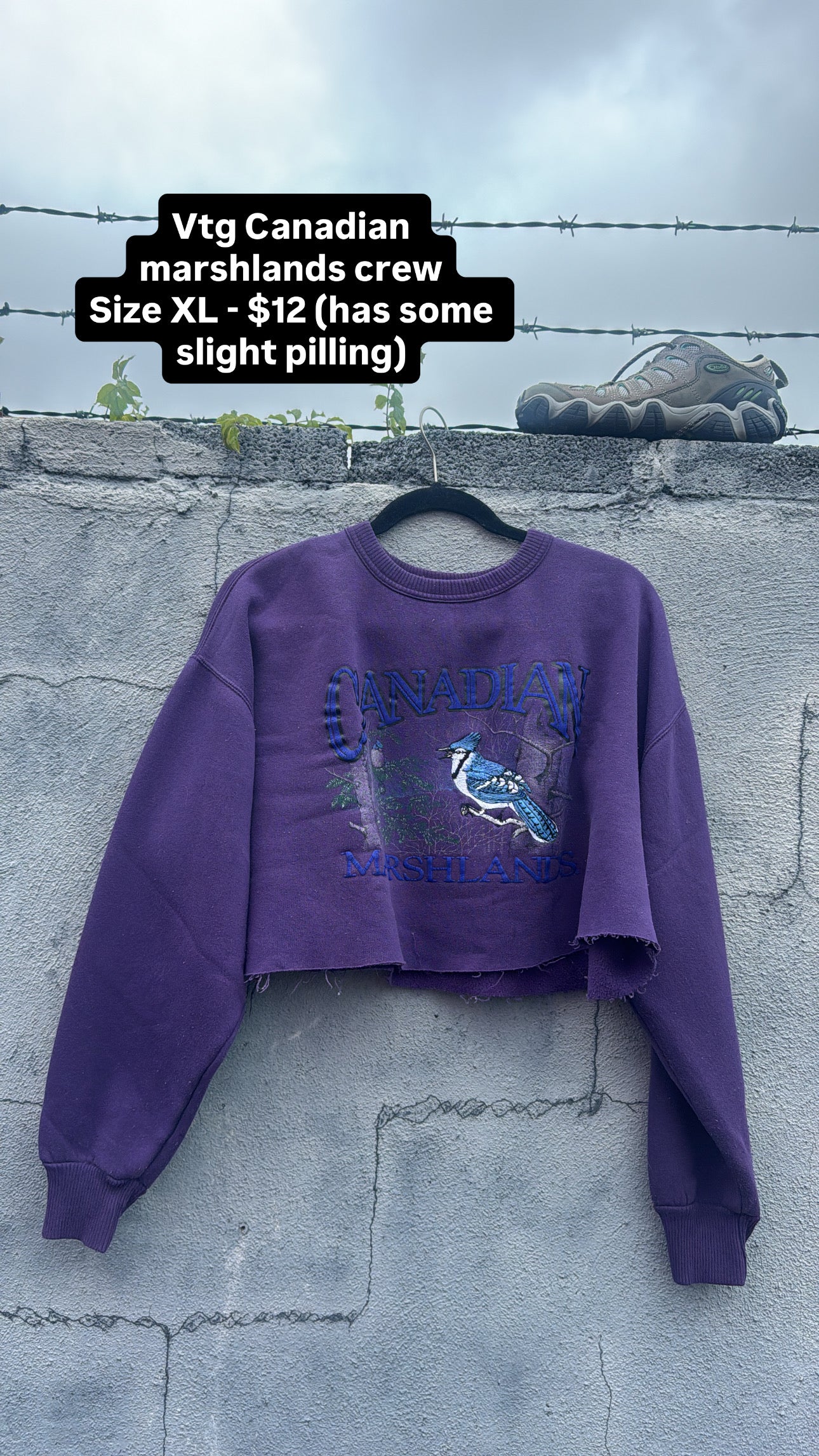 purple marshlands canadian marshlands cropped crew, xl