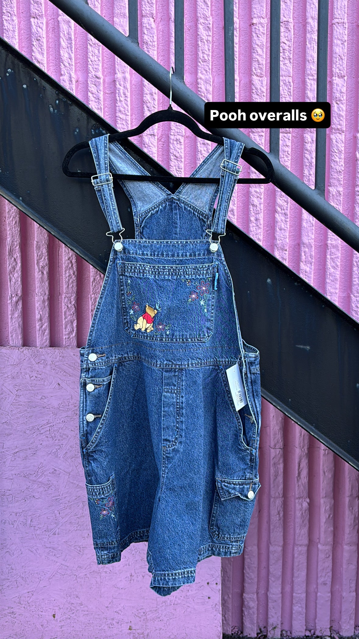 Blue Pooh overalls, 14/16