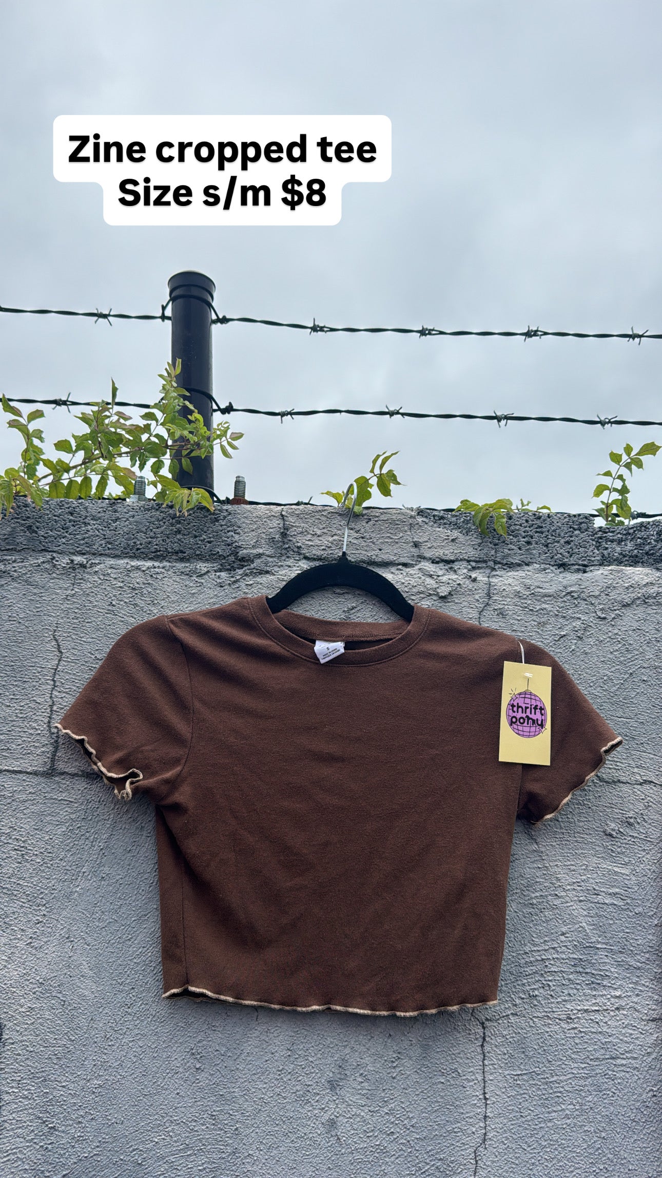 brown zine ss top w lettuce edge, s