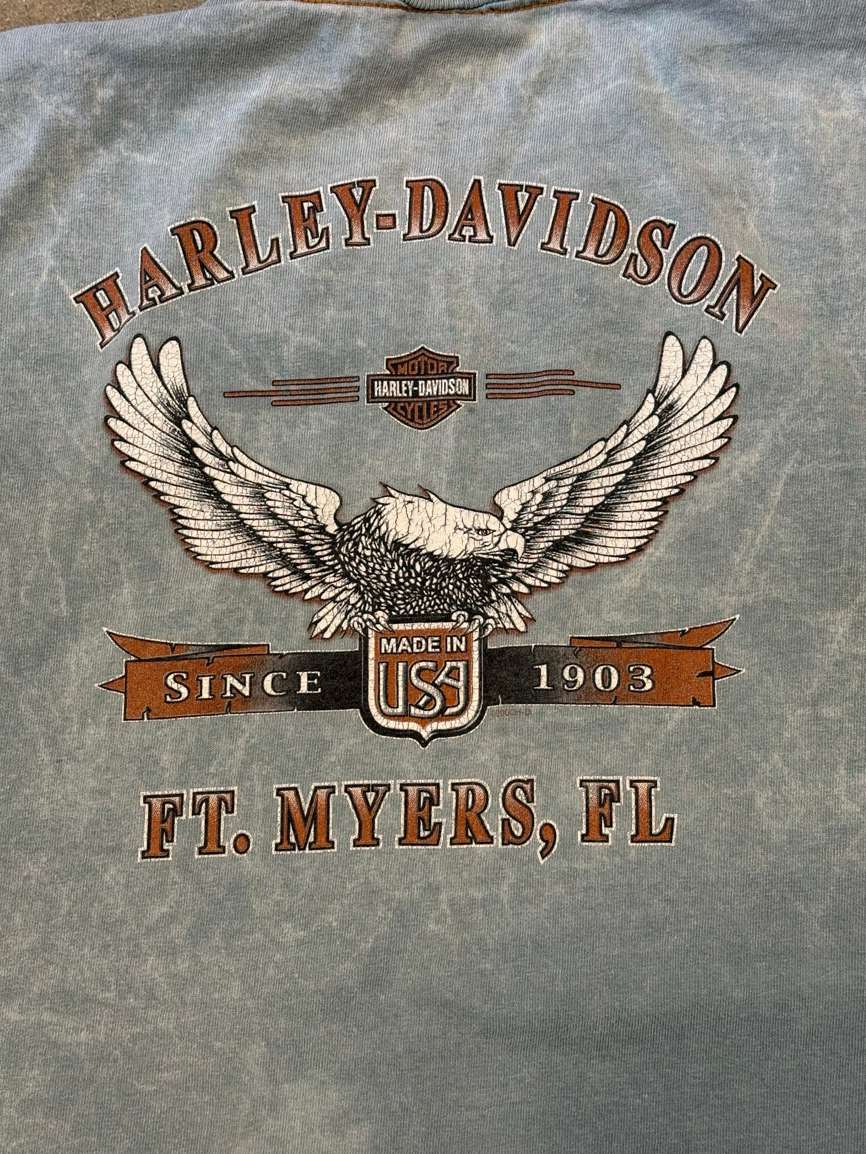 green harley davidson '2000s branded tee, xxl