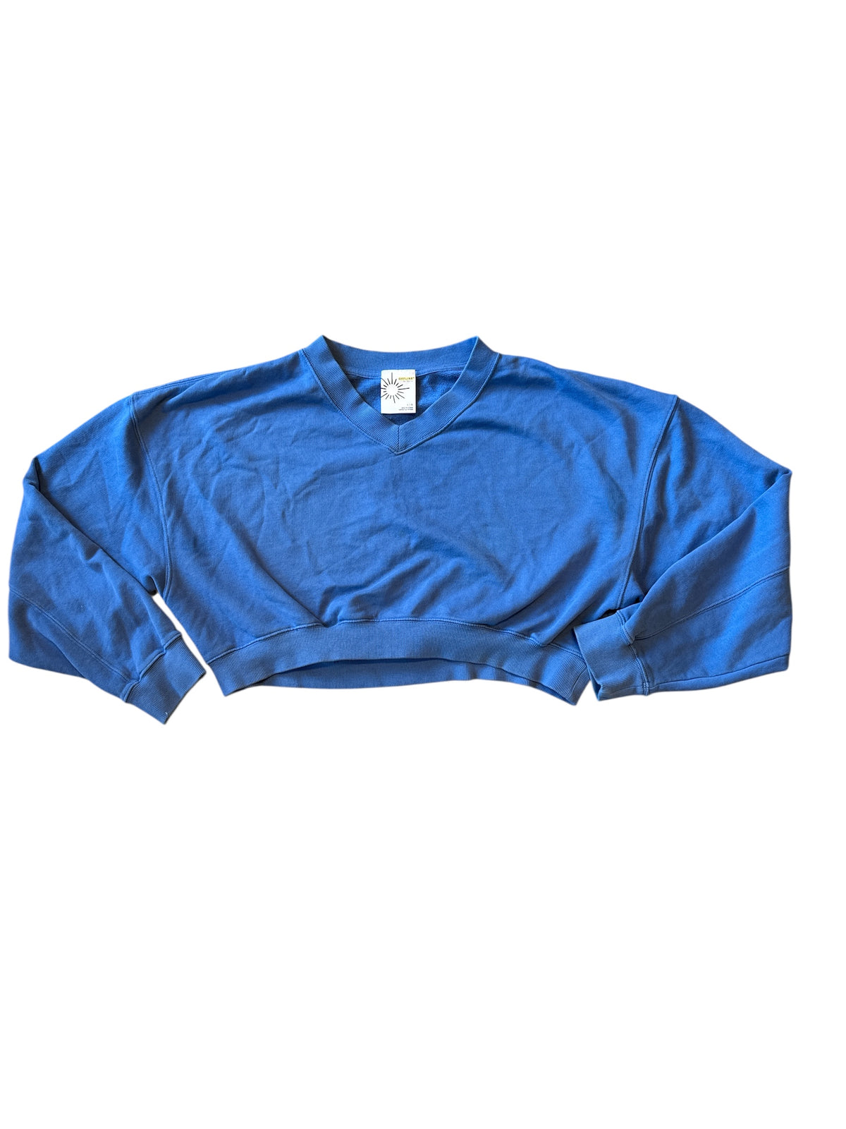 blue aerie v neck crewneck, L