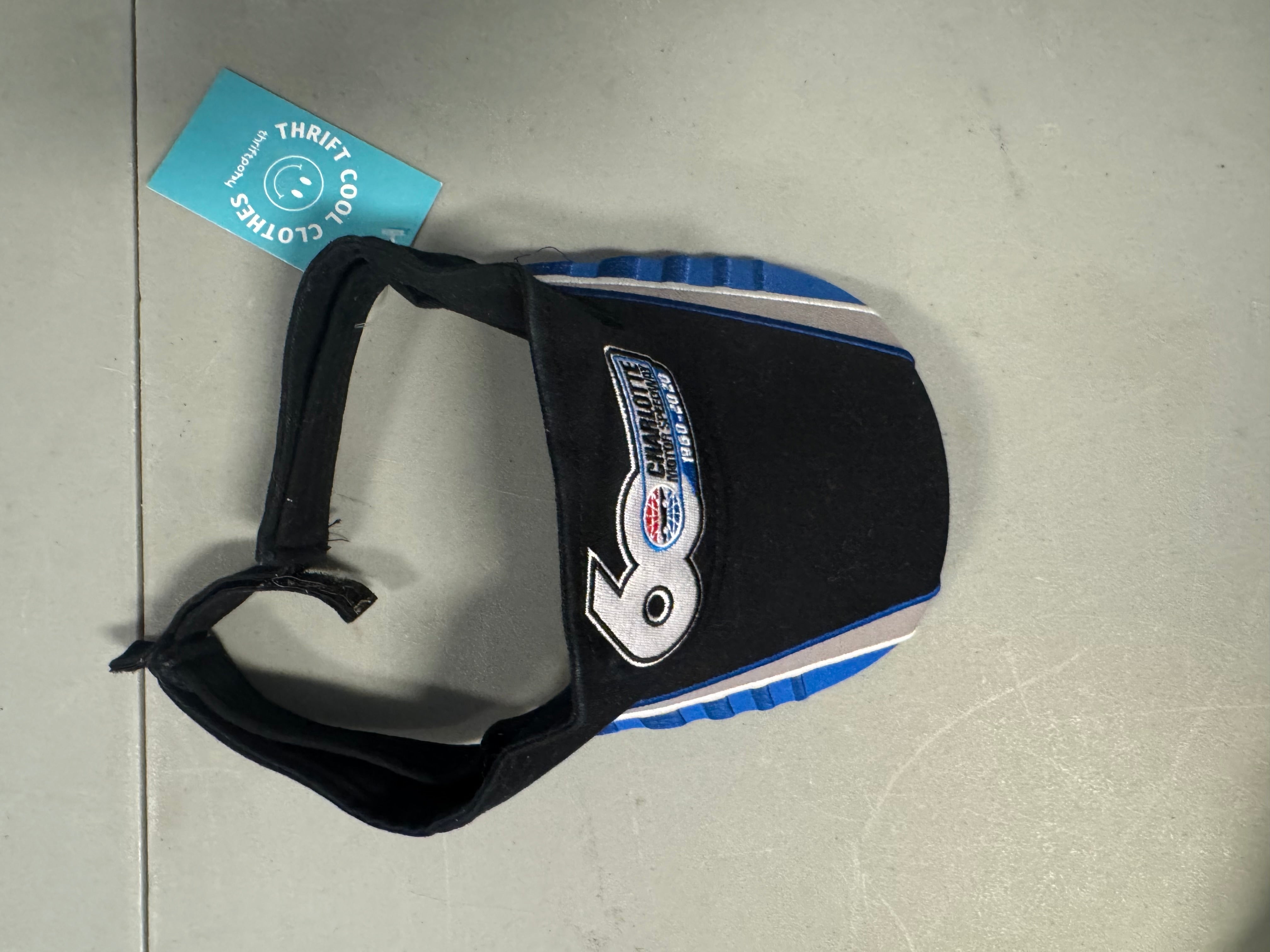 cms visor