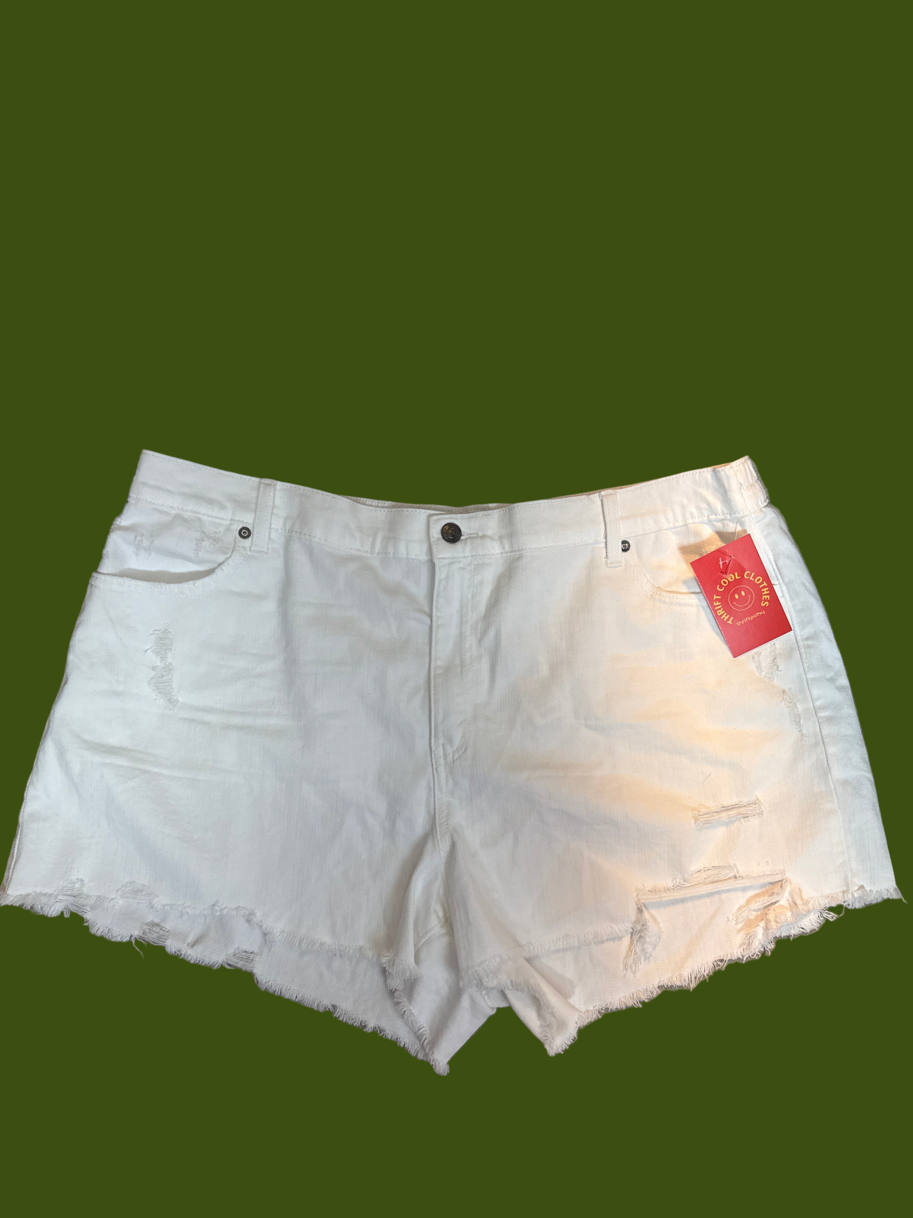 blue aerie chambray shorts w ruffle, xxl