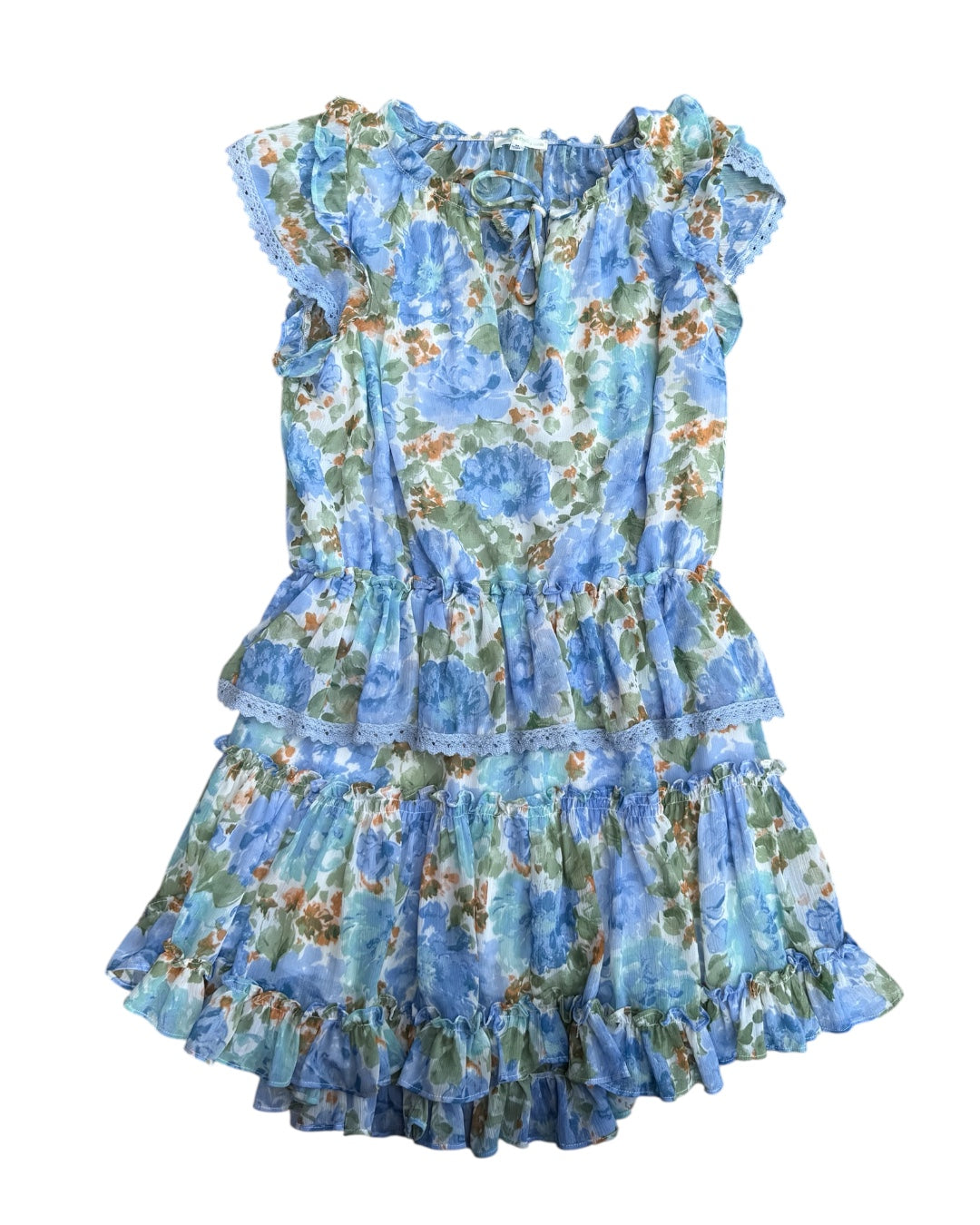 blue green we're all pretty girls floral sheer ss mini dress, m
