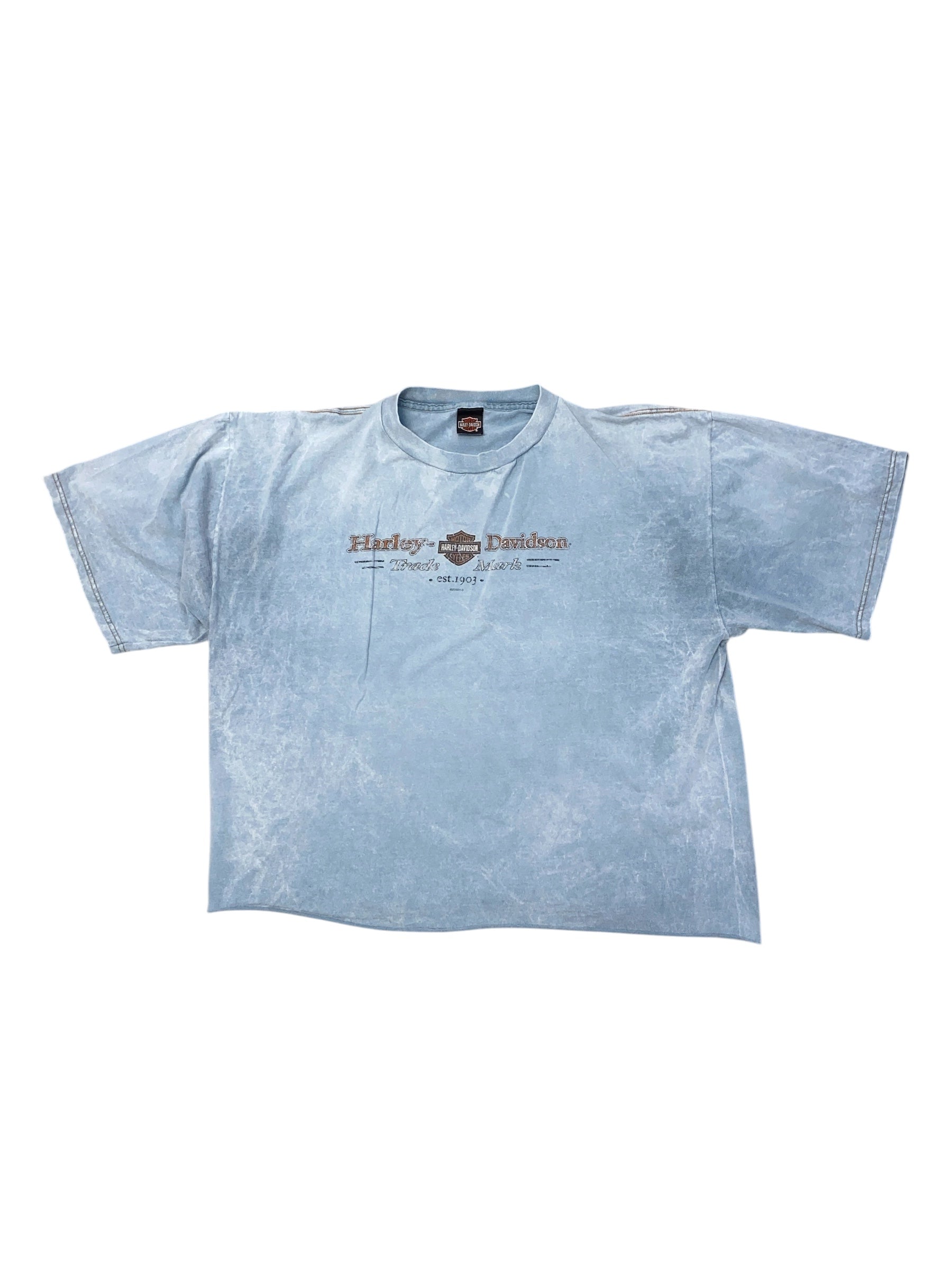 green harley davidson '2000s branded tee, xxl