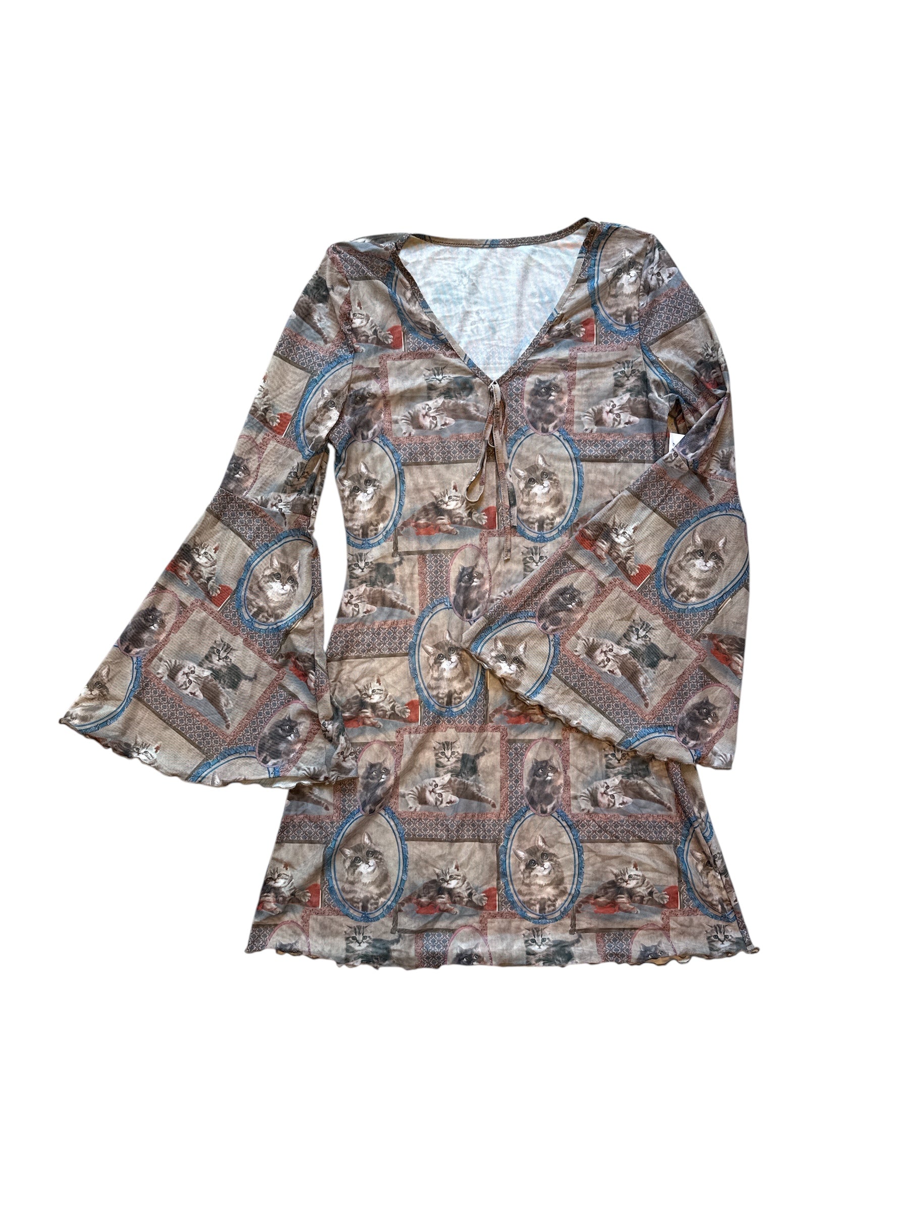 Brown  Cat in frames sheer dress, S