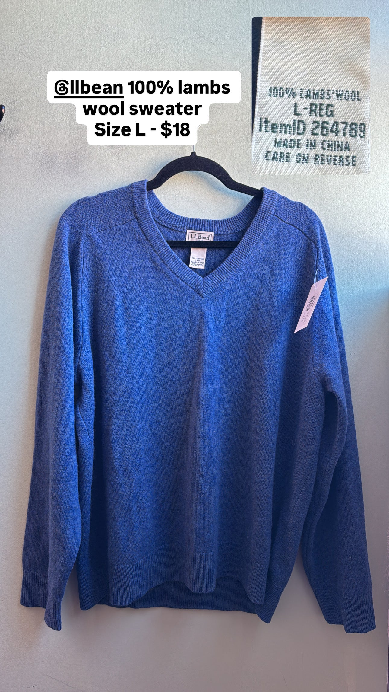 blue L.L. Bean lamb's wool v neck sweater, L