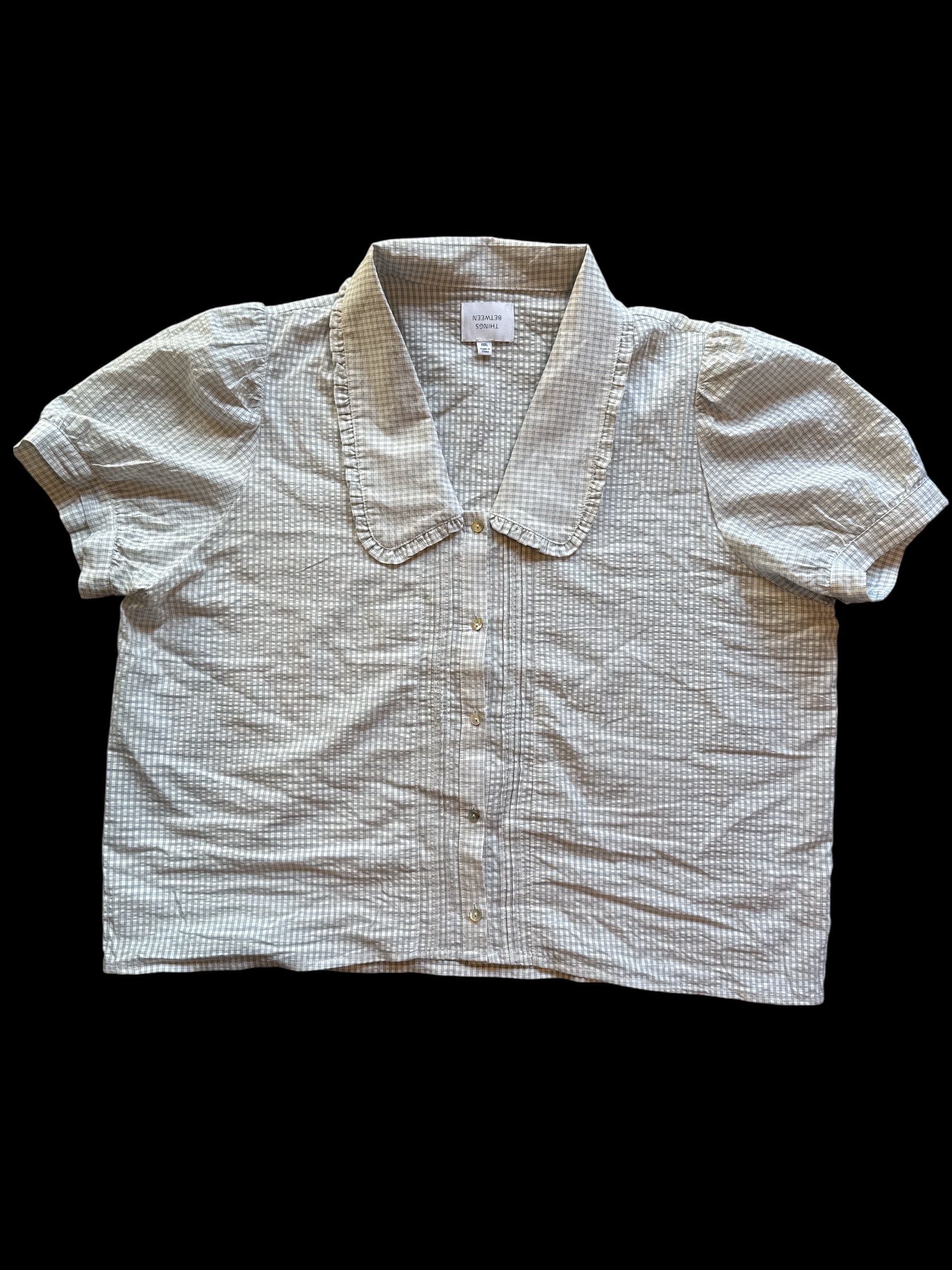 blue white between things gingham collard ss top, 3x