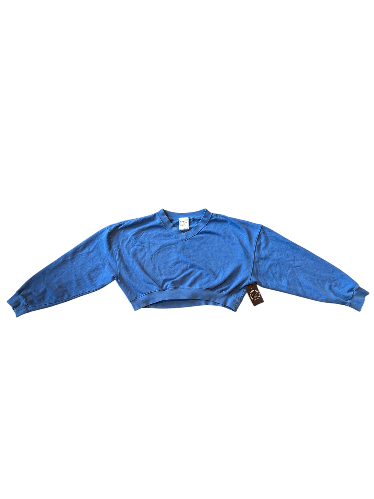 blue aerie v neck crewneck, L