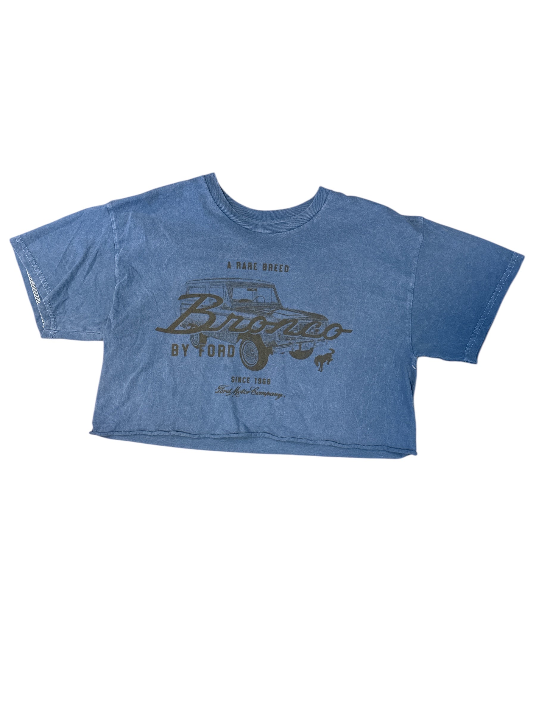 blue ford bronco cutoff, L