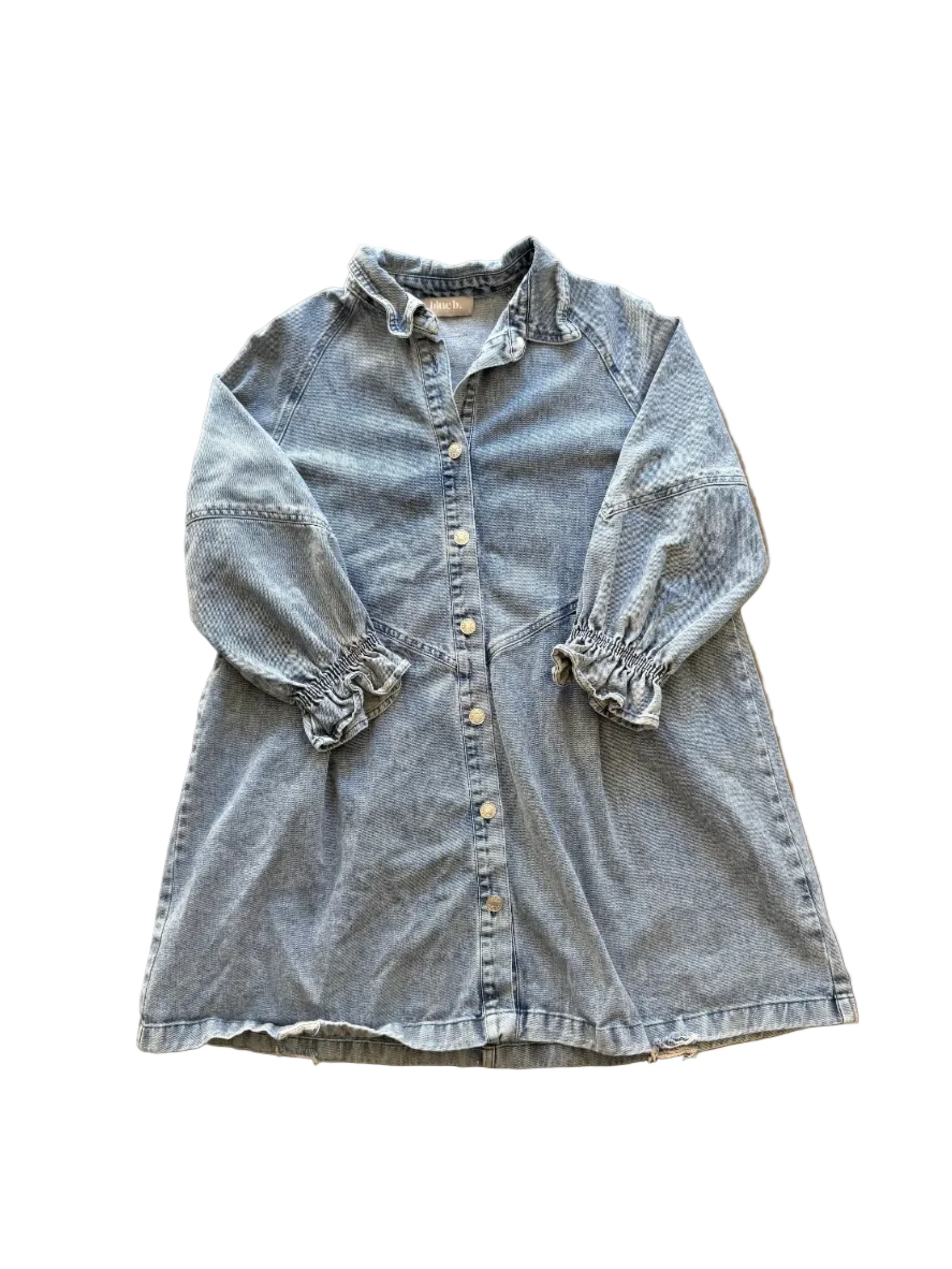 blue blue b denim blouse w ruffle, L
